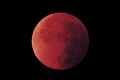 Eclissi-lunare.jpg